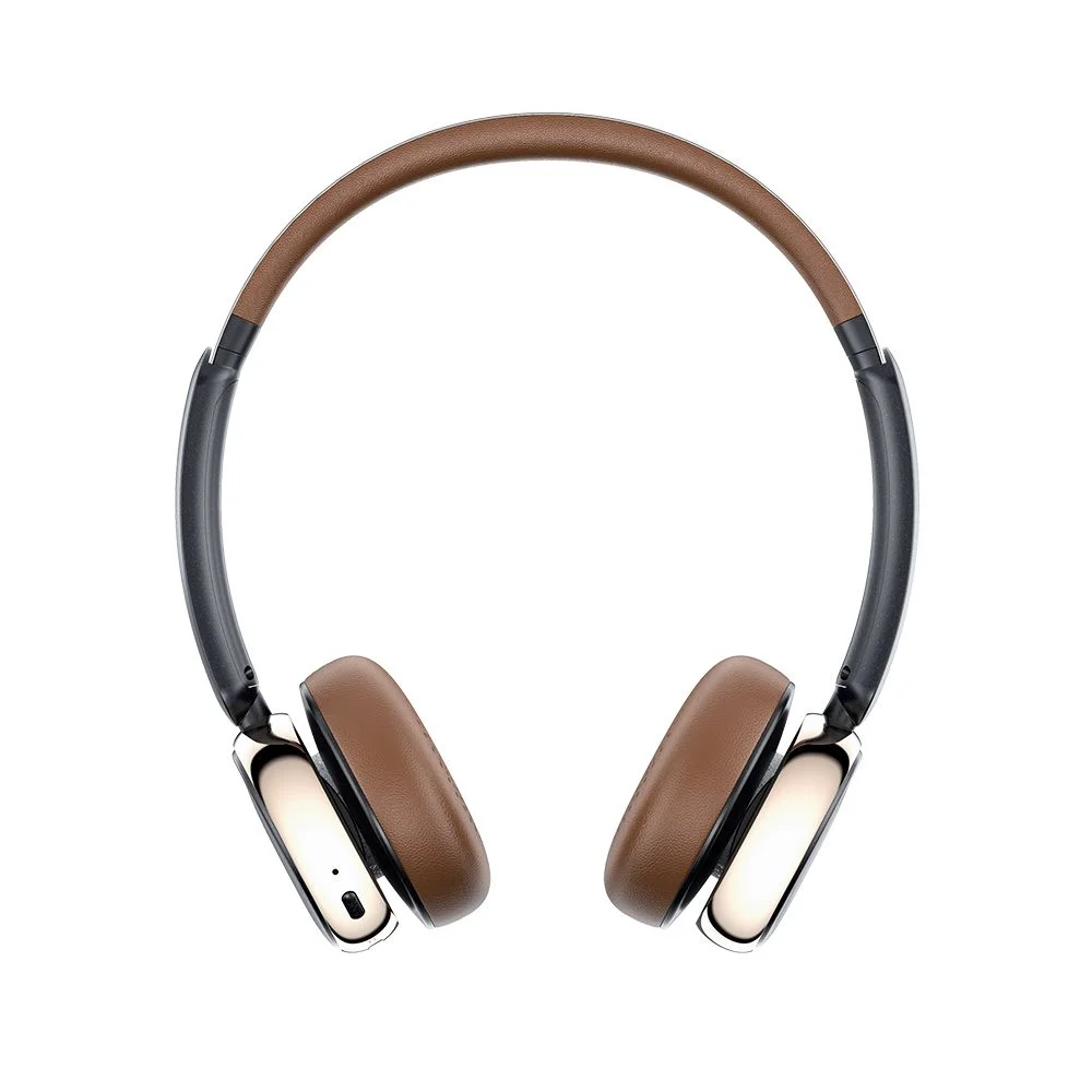 FiiO Snowsky Anytime